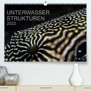 Unterwasser Strukuren (Premium, hochwertiger DIN A2 Wandkalender 2022, Kunstdruck in Hochglanz) von Schulze,  Karsten