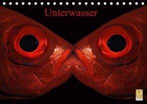 Unterwasser (Tischkalender 2019 DIN A5 quer) von Balnis,  Bettina