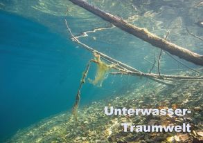 Unterwasser-Traumwelt (Tischaufsteller DIN A5 quer) von Suttrop,  Christian