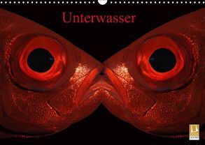 Unterwasser (Wandkalender 2019 DIN A3 quer) von Balnis,  Bettina