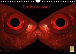 Unterwasser (Wandkalender 2019 DIN A4 quer) von Balnis,  Bettina