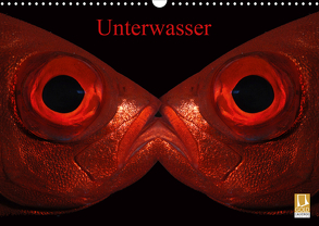 Unterwasser (Wandkalender 2020 DIN A3 quer) von Balnis,  Bettina