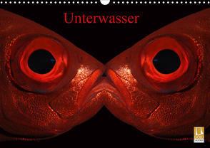 Unterwasser (Wandkalender 2021 DIN A3 quer) von Balnis,  Bettina