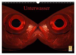 Unterwasser (Wandkalender 2024 DIN A3 quer), CALVENDO Monatskalender von Balnis,  Bettina