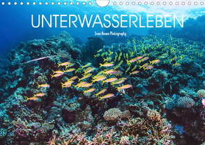 Unterwasserleben (Wandkalender 2019 DIN A4 quer) von Riewe,  Sven