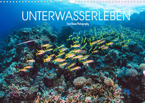 Unterwasserleben (Wandkalender 2023 DIN A3 quer) von Riewe,  Sven