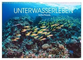 Unterwasserleben (Wandkalender 2024 DIN A3 quer), CALVENDO Monatskalender von Riewe,  Sven