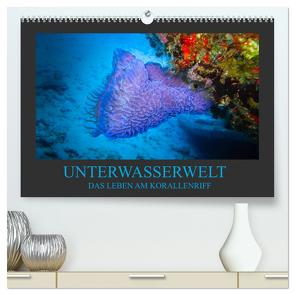 Unterwasserwelt – Das Leben am Korallenriff (hochwertiger Premium Wandkalender 2024 DIN A2 quer), Kunstdruck in Hochglanz von Meutzner,  Dirk