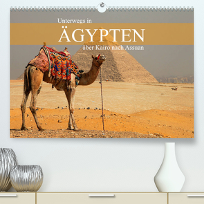 Unterwegs in Ägypten – über Kairo nach Assuan (Premium, hochwertiger DIN A2 Wandkalender 2023, Kunstdruck in Hochglanz) von Werner Altner,  Dr.