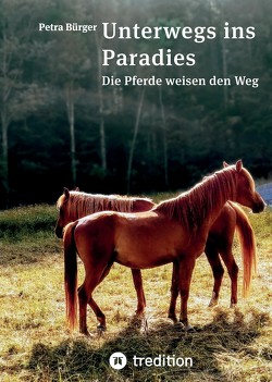 Unterwegs ins Paradies von Bökkerink,  Annette, Bürger,  Petra, Faulhaber,  Michael, Ostrovski,  Anna-Maria, Tredition-Verlag