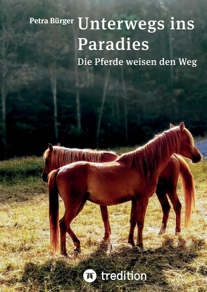 Unterwegs ins Paradies von Bökkerink,  Annette, Bürger,  Petra, Faulhaber,  Michael, Ostrovski,  Anna-Maria, Tredition-Verlag