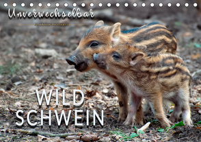 Unverwechselbar – Wildschwein (Tischkalender 2021 DIN A5 quer) von Roder,  Peter