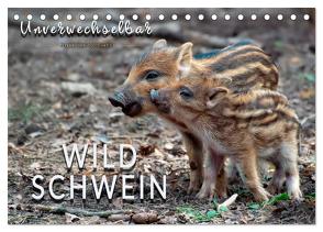 Unverwechselbar – Wildschwein (Tischkalender 2024 DIN A5 quer), CALVENDO Monatskalender von Roder,  Peter