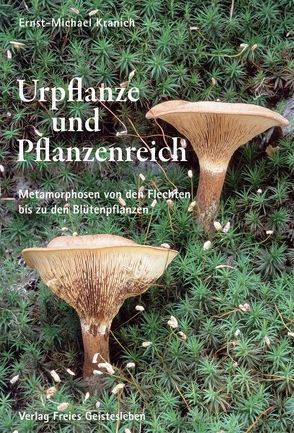 Urpflanze und Pflanzenreich von Kranich,  Ernst M