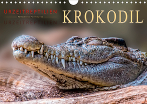 Urzeitreptilien – Krokodil (Wandkalender 2021 DIN A4 quer) von Roder,  Peter