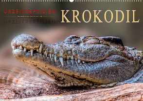 Urzeitreptilien – Krokodil (Wandkalender 2022 DIN A2 quer) von Roder,  Peter