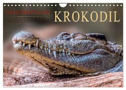 Urzeitreptilien – Krokodil (Wandkalender 2024 DIN A4 quer), CALVENDO Monatskalender von Roder,  Peter