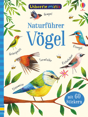 Usborne Minis – Naturführer: Vögel von Coleman,  Stephanie Fizer, Robson,  Kirsteen, Smith,  Sam