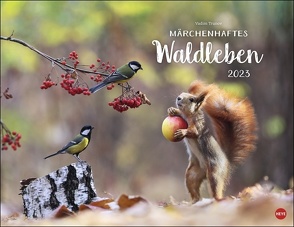 Trunov Märchenhaftes Waldleben Posterkalender. Naturkalender 2023 gestaltet vom russischen Naturfotografen Vadim Trunov. Fotokalender 2023 im Querformat. 44x34cm von Heye, Trunov,  Vadim