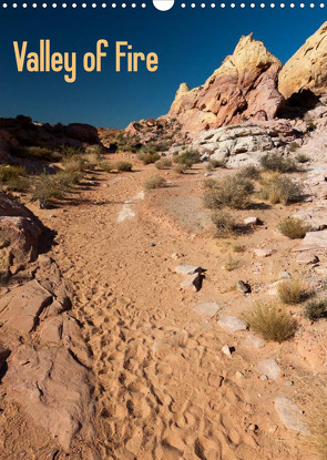 Valley of Fire (Wandkalender 2022 DIN A3 hoch) von Friederich,  Rudolf