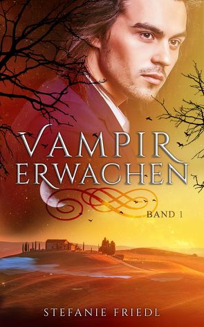 Vampirerwachen von Friedl,  Stefanie, Licht,  Kristina