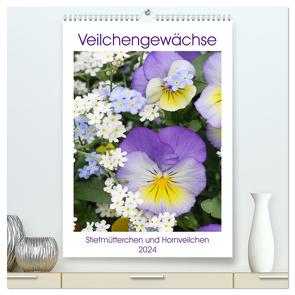 Veilchengewächse Stiefmütterchen und Hornveilchen (hochwertiger Premium Wandkalender 2024 DIN A2 hoch), Kunstdruck in Hochglanz von Kruse,  Gisela