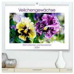 Veilchengewächse – Stiefmütterchen und Hornveilchen (hochwertiger Premium Wandkalender 2024 DIN A2 quer), Kunstdruck in Hochglanz von Kruse,  Gisela