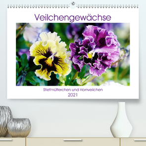 Veilchengewächse – Stiefmütterchen und Hornveilchen (Premium, hochwertiger DIN A2 Wandkalender 2021, Kunstdruck in Hochglanz) von Kruse,  Gisela