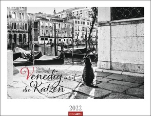 Venedig und die Katzen Kalender 2022 von Weingarten, Zampieri,  Marianna