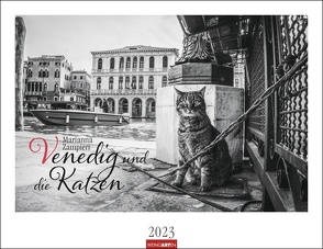 Venedig und die Katzen Kalender 2023. Samtpfoten in der Lagunenstadt, eingefangen in einem großen Wandkalender in schwarz-weiß. Hochwertiger Fotokalender im Großformat für Katzenliebhaber. von Weingarten, Zampieri,  Marianna