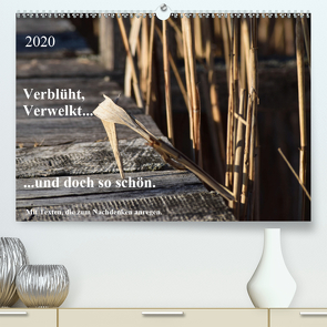 Verblüht, Verwelkt… …und doch so schön! (Premium, hochwertiger DIN A2 Wandkalender 2020, Kunstdruck in Hochglanz) von Gaudig,  Marlise