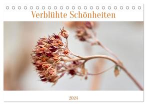 Verblühte Schönheiten (Tischkalender 2024 DIN A5 quer), CALVENDO Monatskalender von Spieß,  Petra