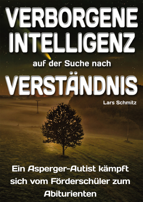 Verborgene Intelligenz – auf der der Suche nach Verständnis von Schmitz,  Lars