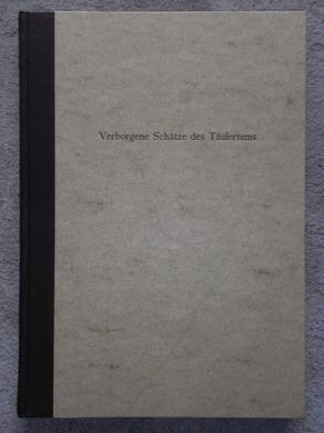 Verborgene Schätze des Täufertums von Bister,  Ulrich, Leu,  Urs B