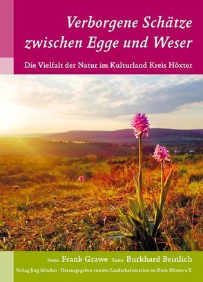 Verborgene Schätze zwischen Egge und Weser von Beinlich,  Burkhard, Grawe,  Frank