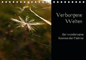 Verborgene Welten – der wundersame Kosmos der Makros (Tischkalender 2019 DIN A5 quer) von Crash,  Juliet