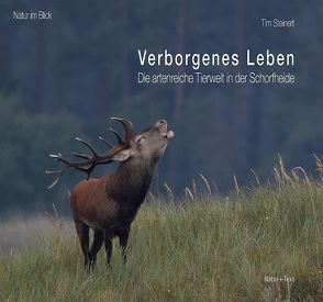 Verborgenes Leben von Steinert,  Tim