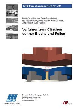 Verfahren zum Clinchen dünner Bleche und Folien von Behrens,  Bernd-Arno, Bossert,  Jörg, Eckold,  Claus-Peter, Hunger,  Anja, Jandt,  Klaus D., Peshekhodov,  Ilya, Yilkiran,  Deniz