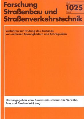 Verfahren zur Prüfung des Zustands von externen Spanngliedern und Schrägseilen von Kiefer,  Daniela, Möller,  Juliane, Siegel,  Steffen, Stempniewski,  Lothar