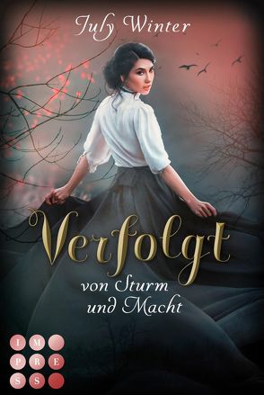 Verfolgt von Sturm und Macht (Sturmwanderer 1) von Winter,  July