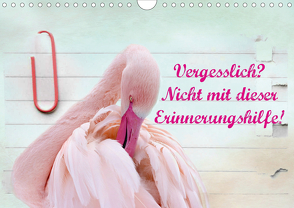 Vergesslich? Nicht mit dieser Erinnerungshilfe! (Wandkalender 2021 DIN A4 quer) von Hultsch,  Heike