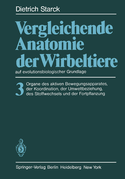 Vergleichende Anatomie der Wirbeltiere auf evolutionsbiologischer Grundlage von Starck,  D.