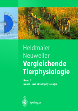 Vergleichende Tierphysiologie von Heldmaier,  Gerhard, Neuweiler,  Gerhard