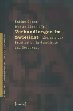 Verhandlungen im Zwielicht von Grenz,  Sabine, Lücke,  Martin