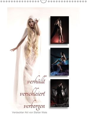 verhüllt verschleiert verborgen – verdeckter Akt von Stefan Weis (Wandkalender 2018 DIN A3 hoch) von Weis,  Stefan