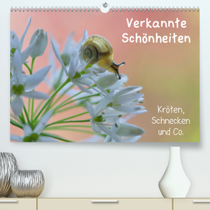 Verkannte Schönheiten – Kröten, Schnecken und Co. (Premium, hochwertiger DIN A2 Wandkalender 2020, Kunstdruck in Hochglanz) von Berger (Kabefa),  Karin