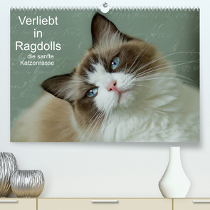 Verliebt in Ragdolls … die sanfte Katzenrasse (Premium, hochwertiger DIN A2 Wandkalender 2022, Kunstdruck in Hochglanz) von Reiß-Seibert,  Marion