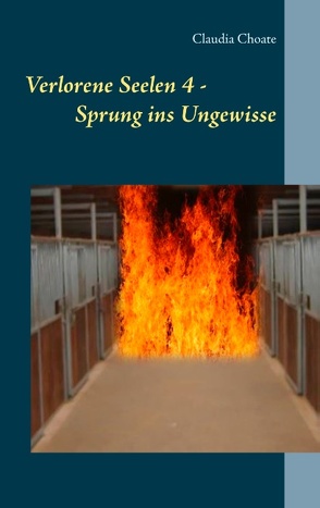 Verlorene Seelen 4 – Sprung ins Ungewisse von Choate,  Claudia