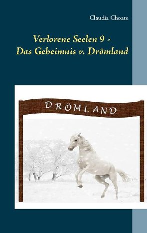 Verlorene Seelen 9 – Das Geheimnis von Drömland von Choate,  Claudia