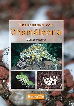 Vermehrung von Chamäleons von Masurat,  Günter